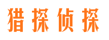 迎江侦探公司